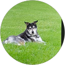 John profile picture