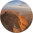 Ray Golden profile picture